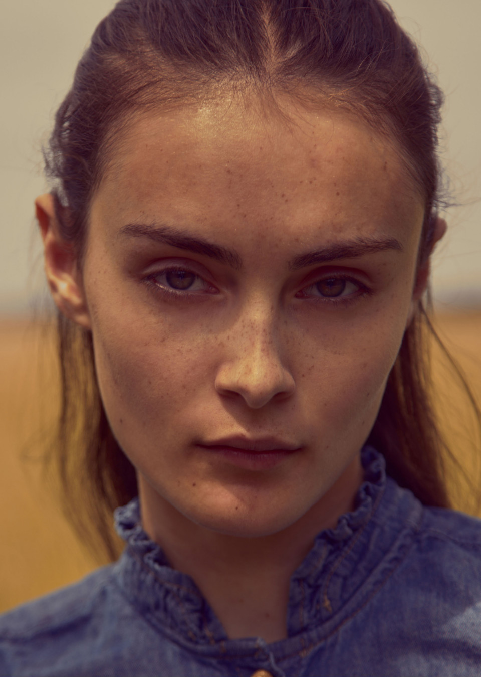 Model Image