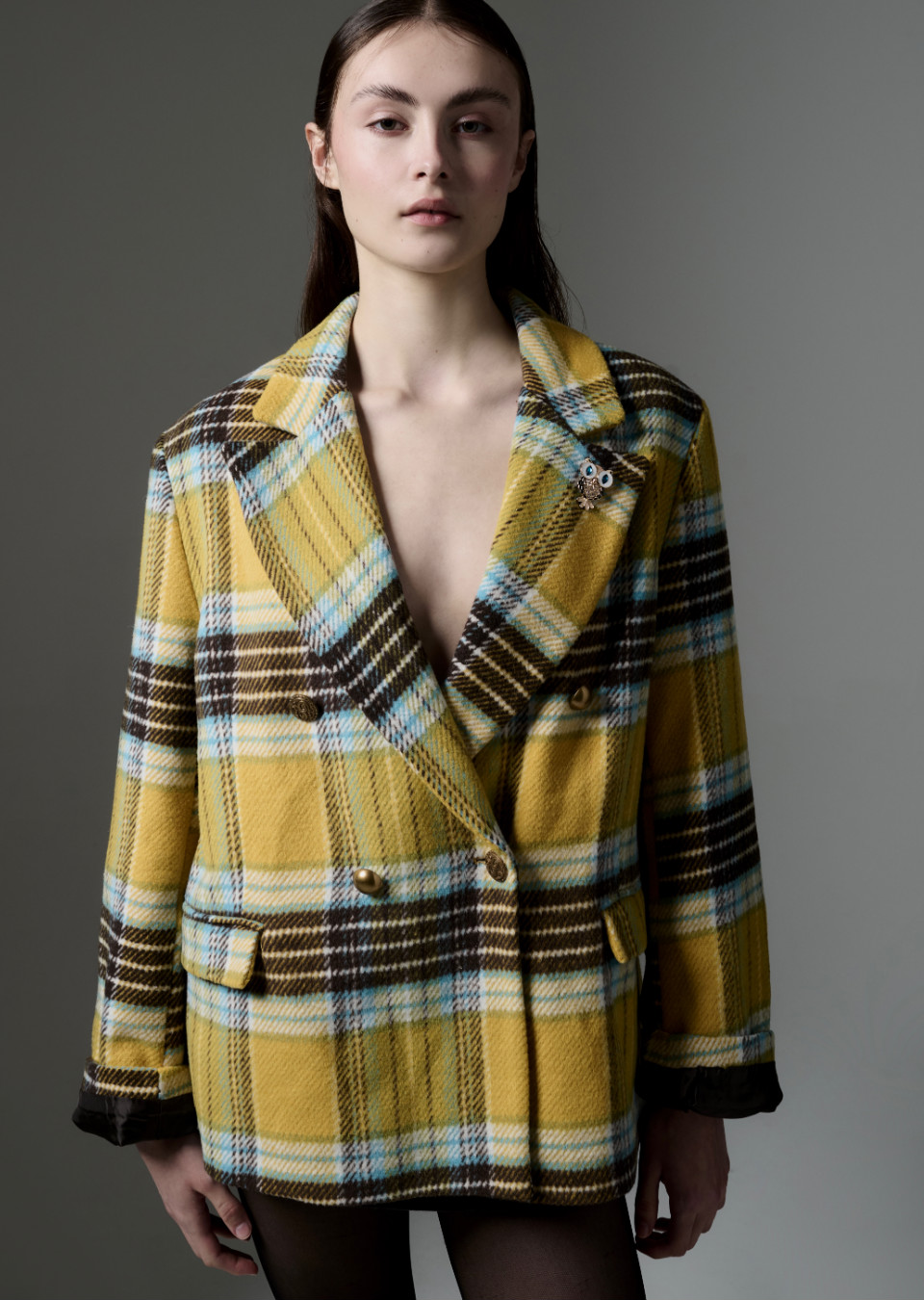Model Image
