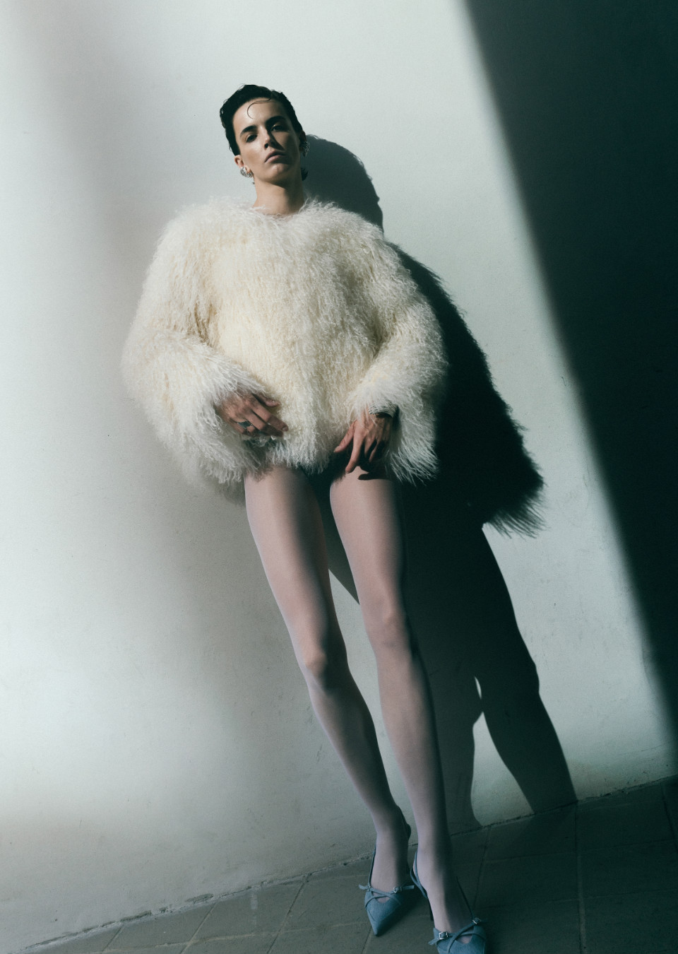 Model Image
