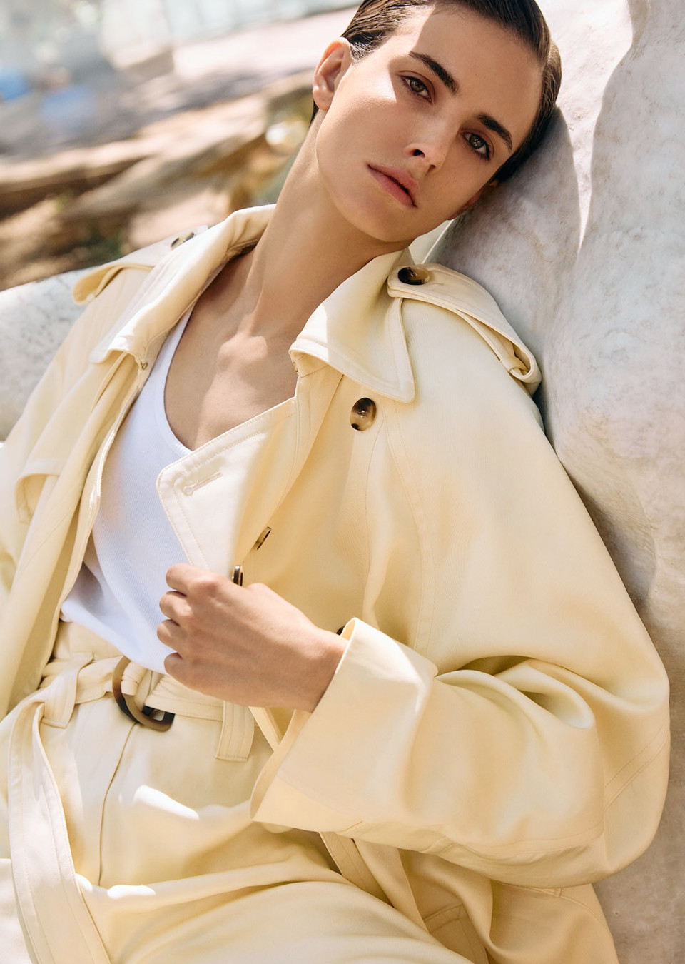 Model Image