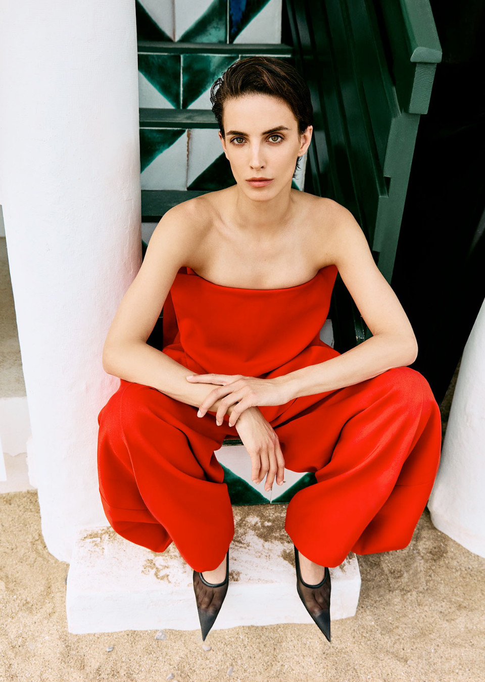 Model Image
