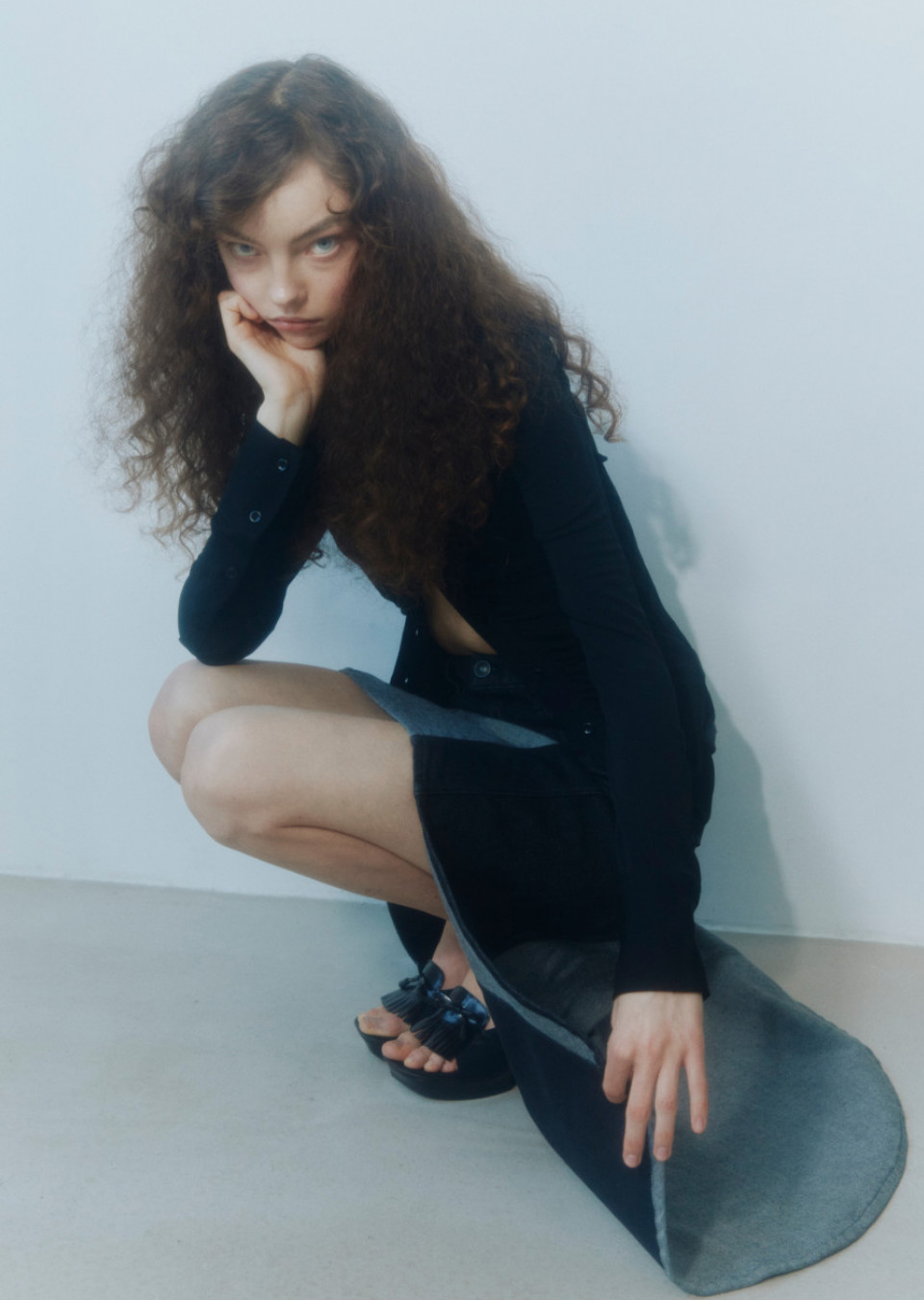 Model Image