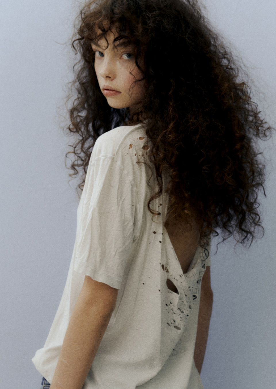 Model Image