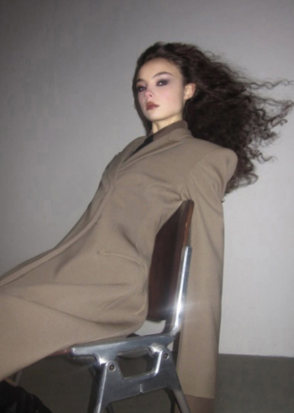 Model Image