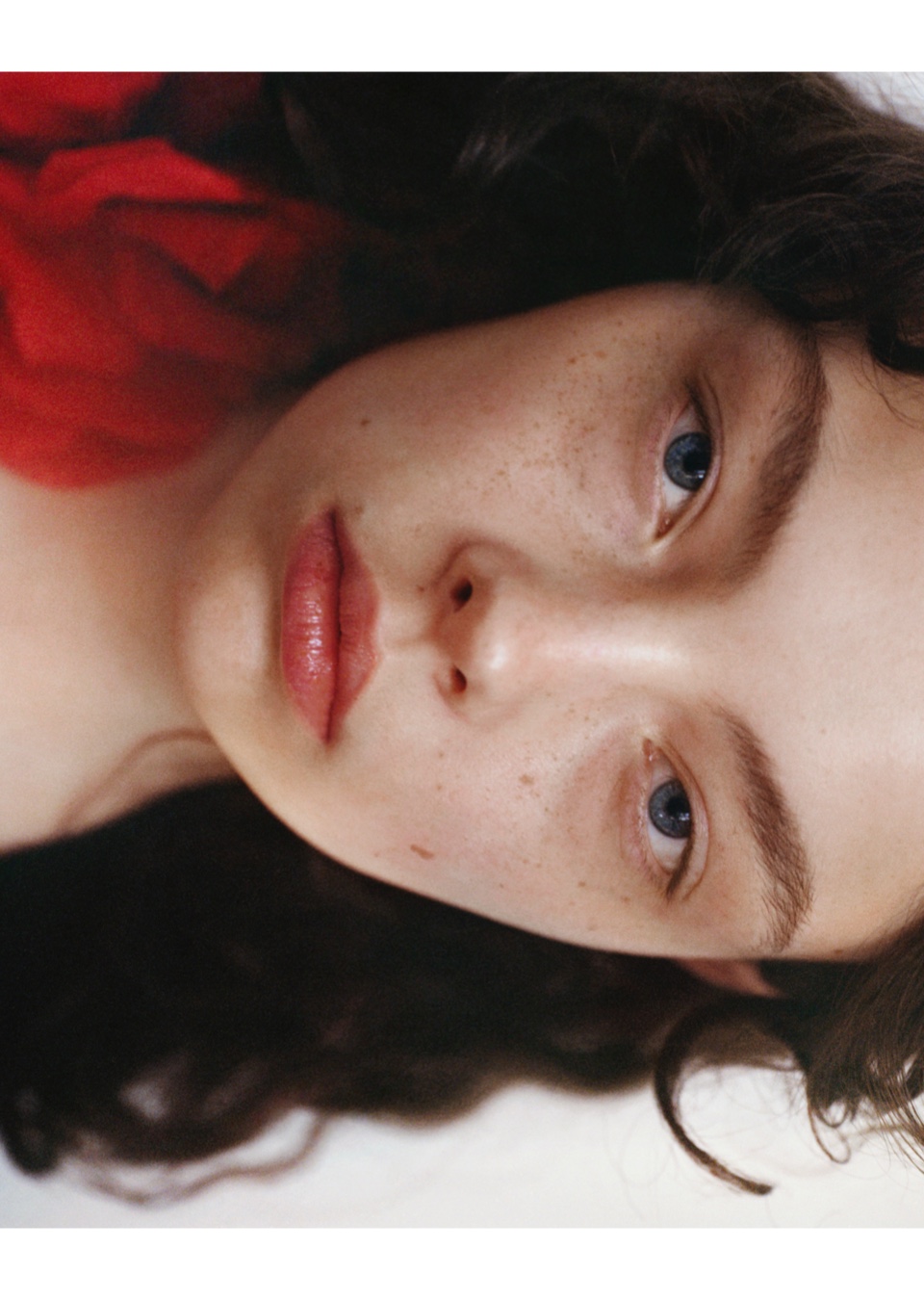 Model Image
