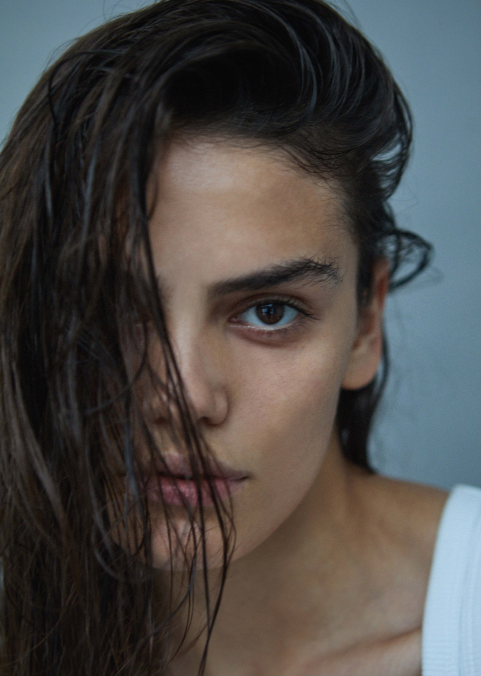 Model Image