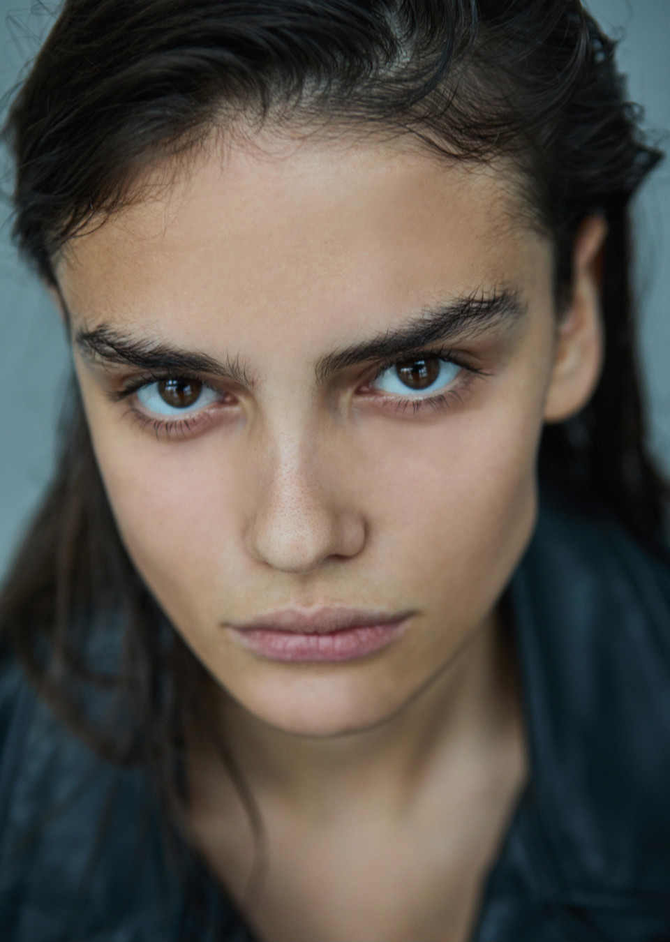 Model Image
