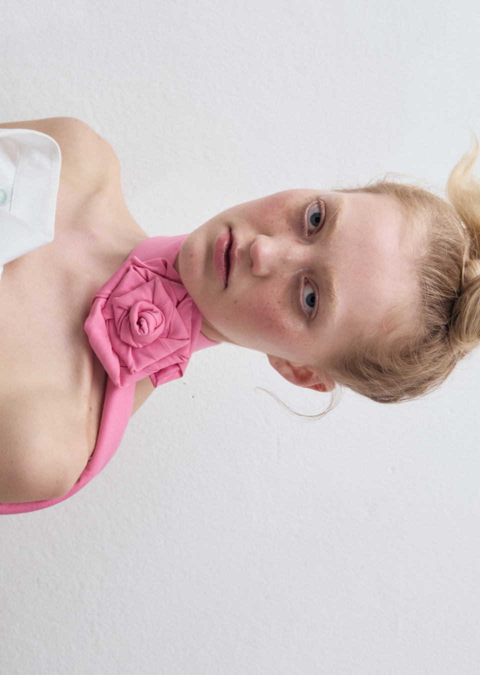 Model Image