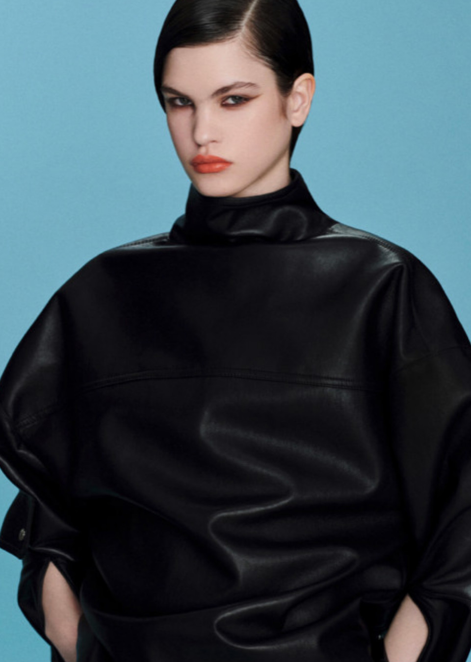 Model Image