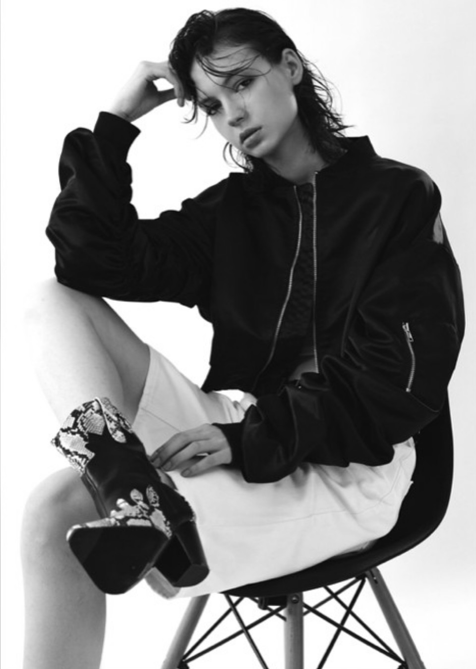 Model Image