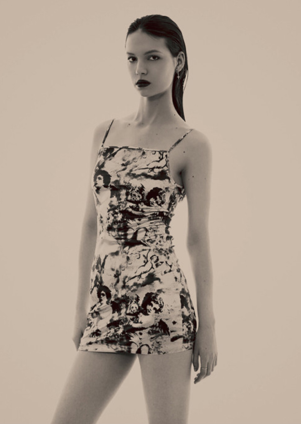 Model Image