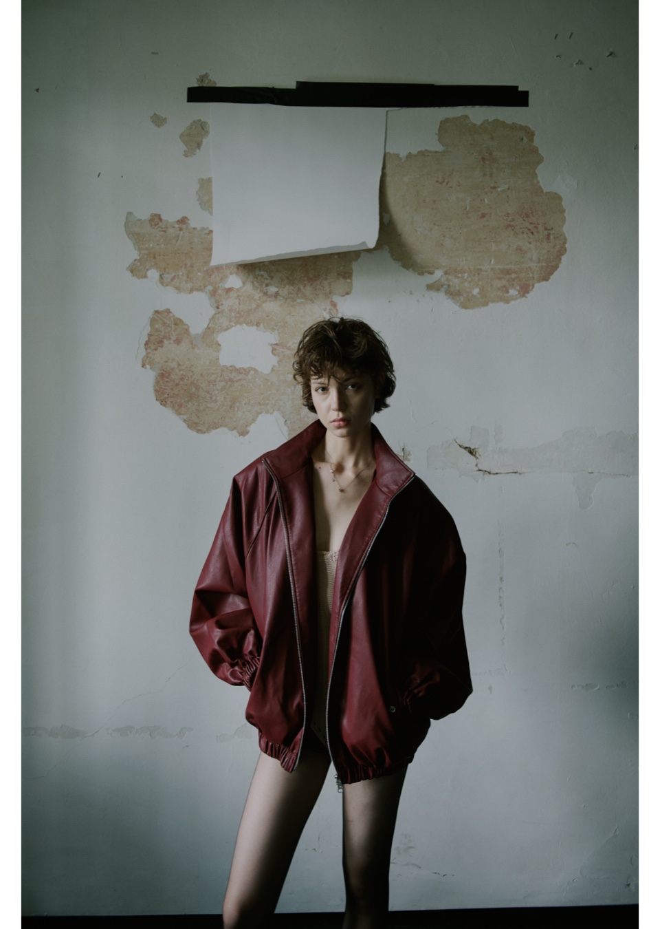 Model Image