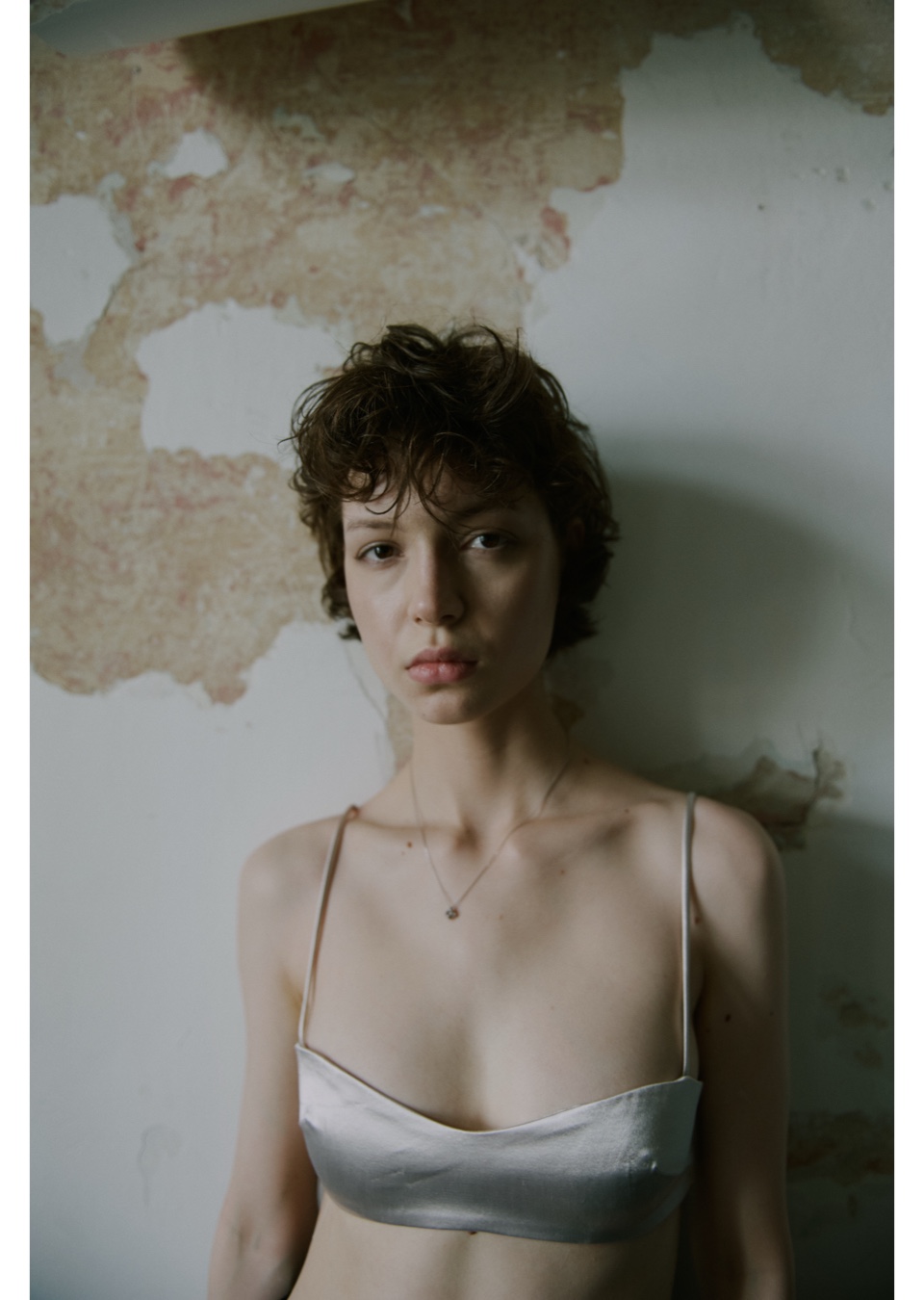 Model Image