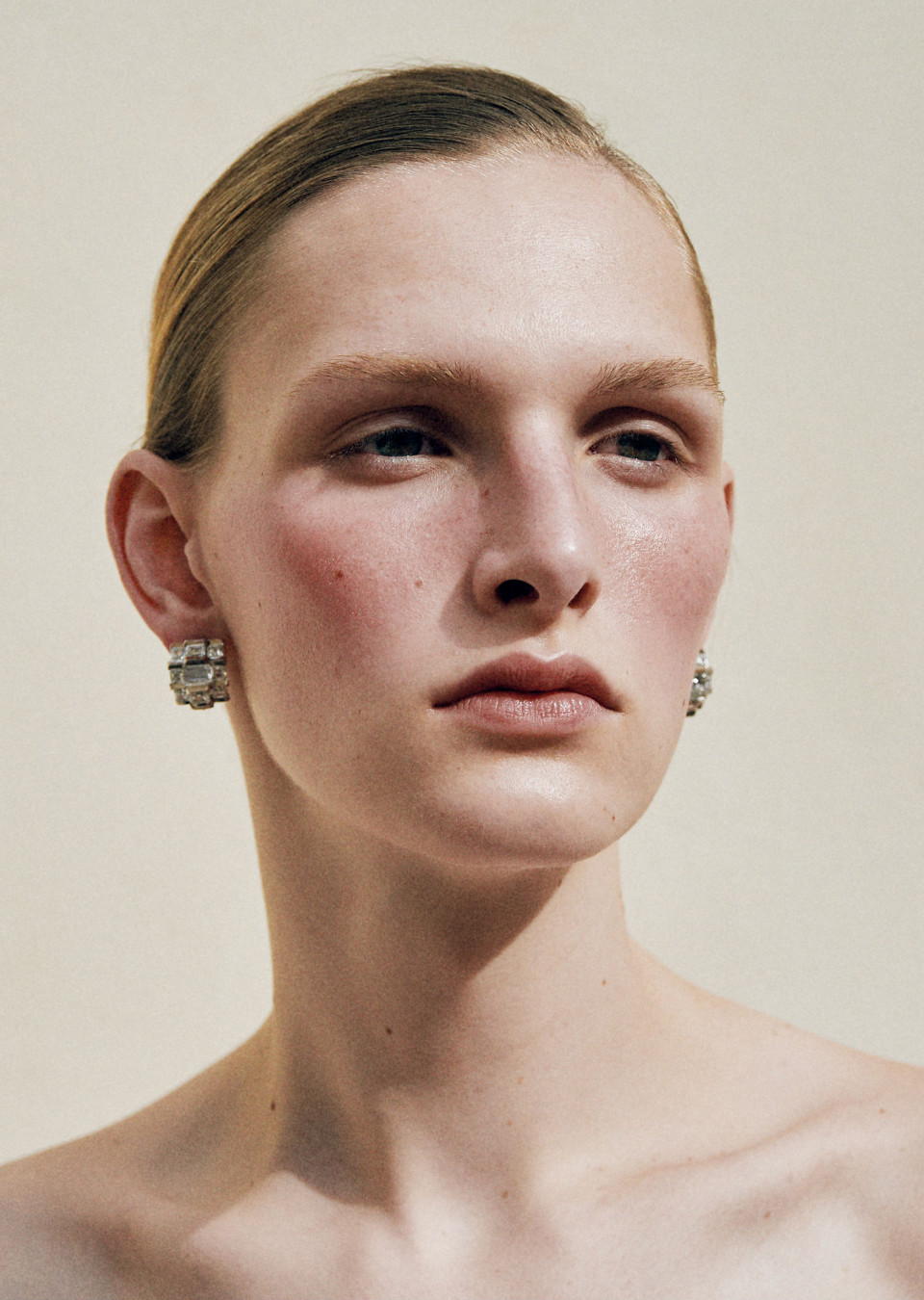Model Image