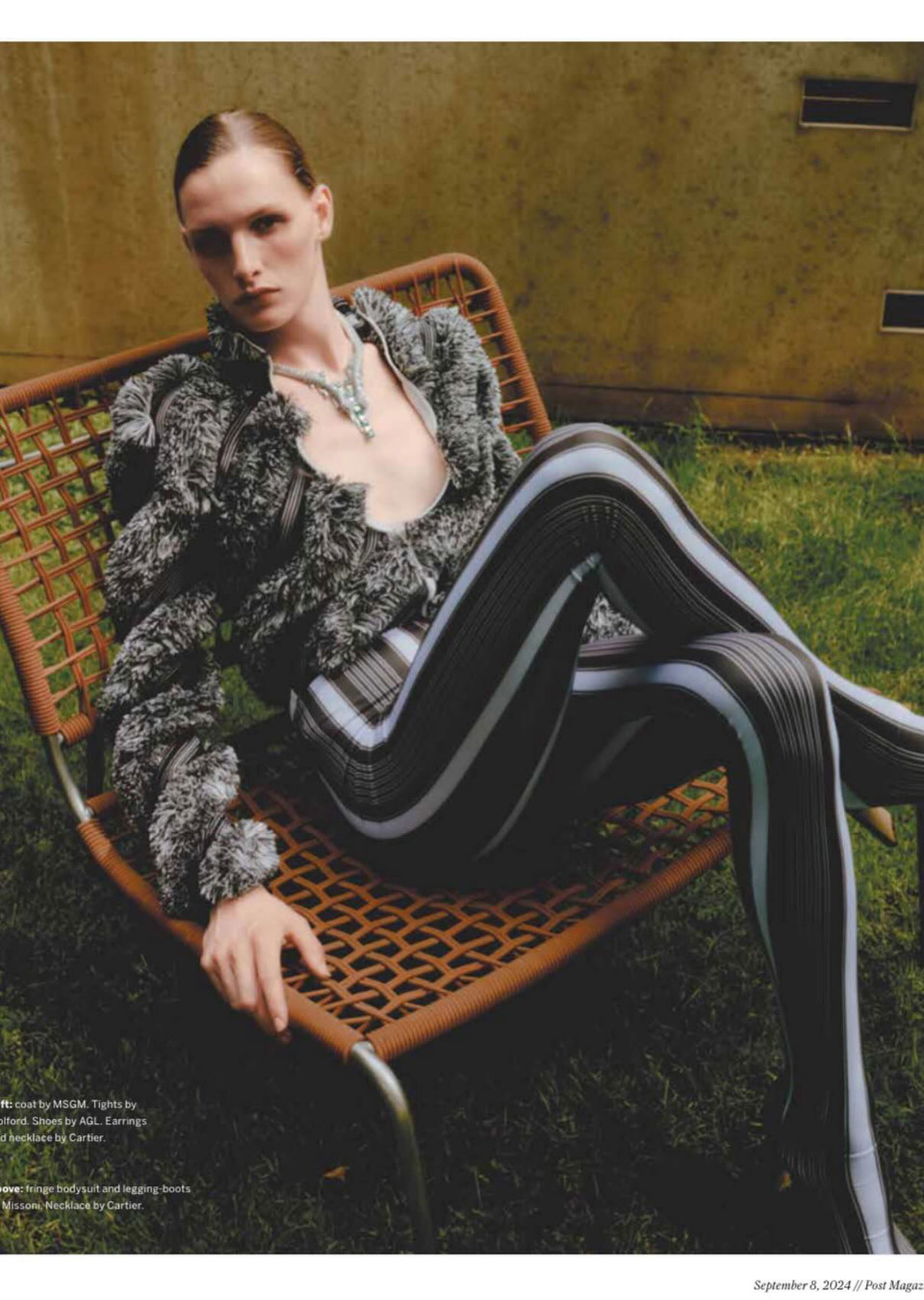 Model Image