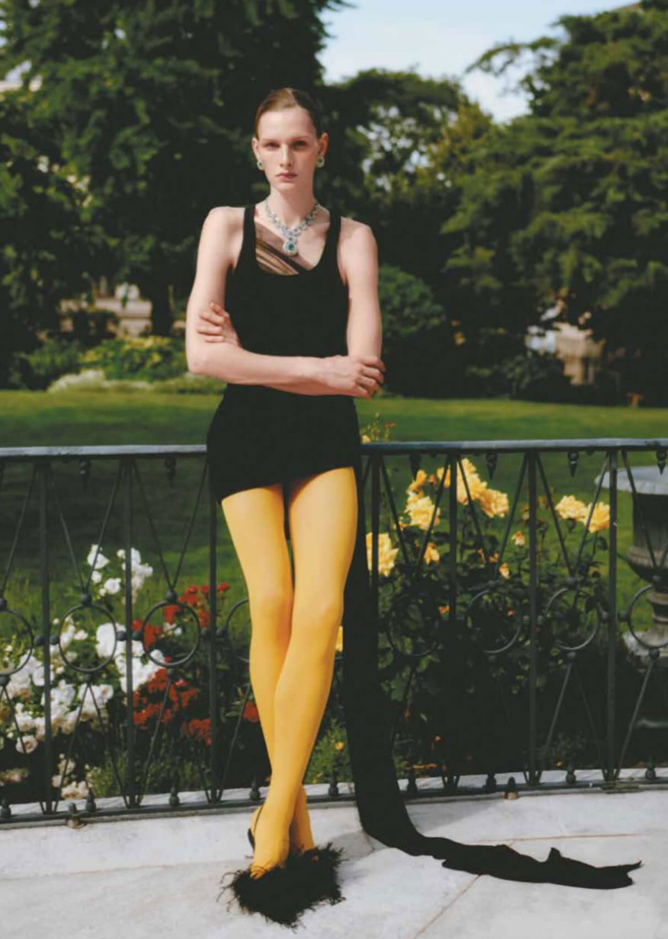 Model Image