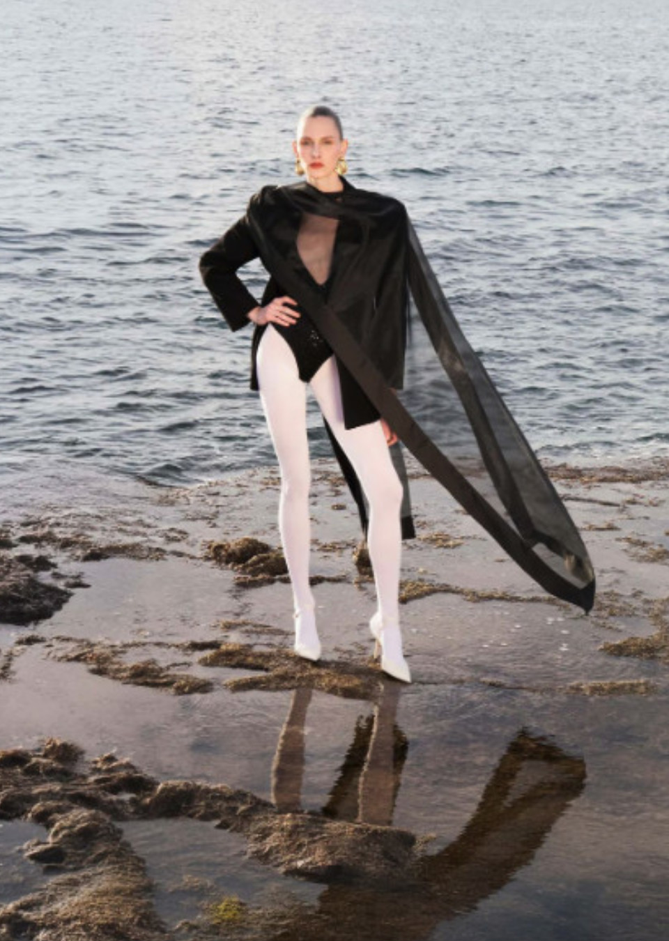 Model Image