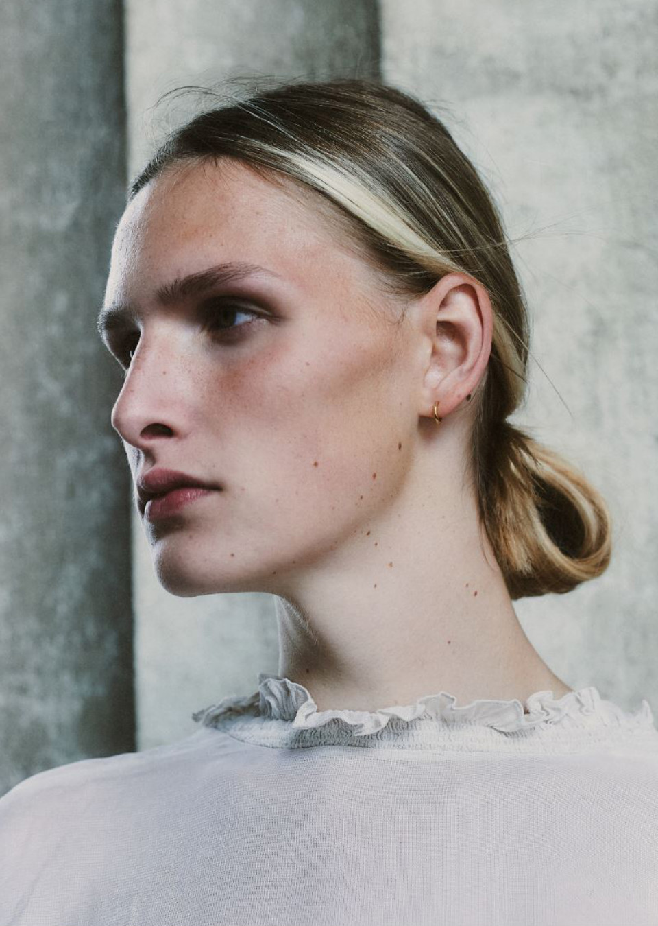 Model Image