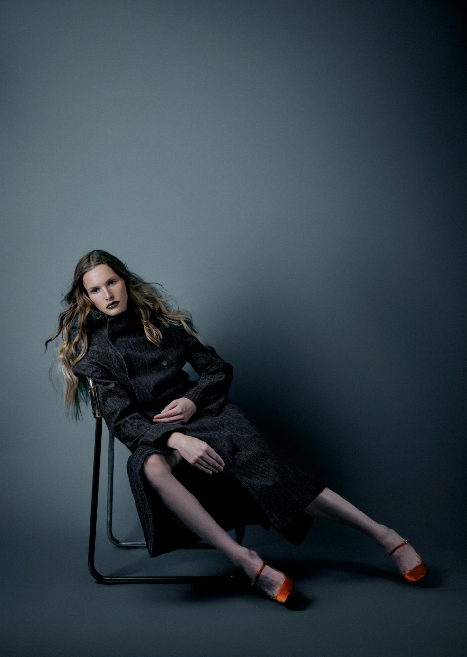 Model Image