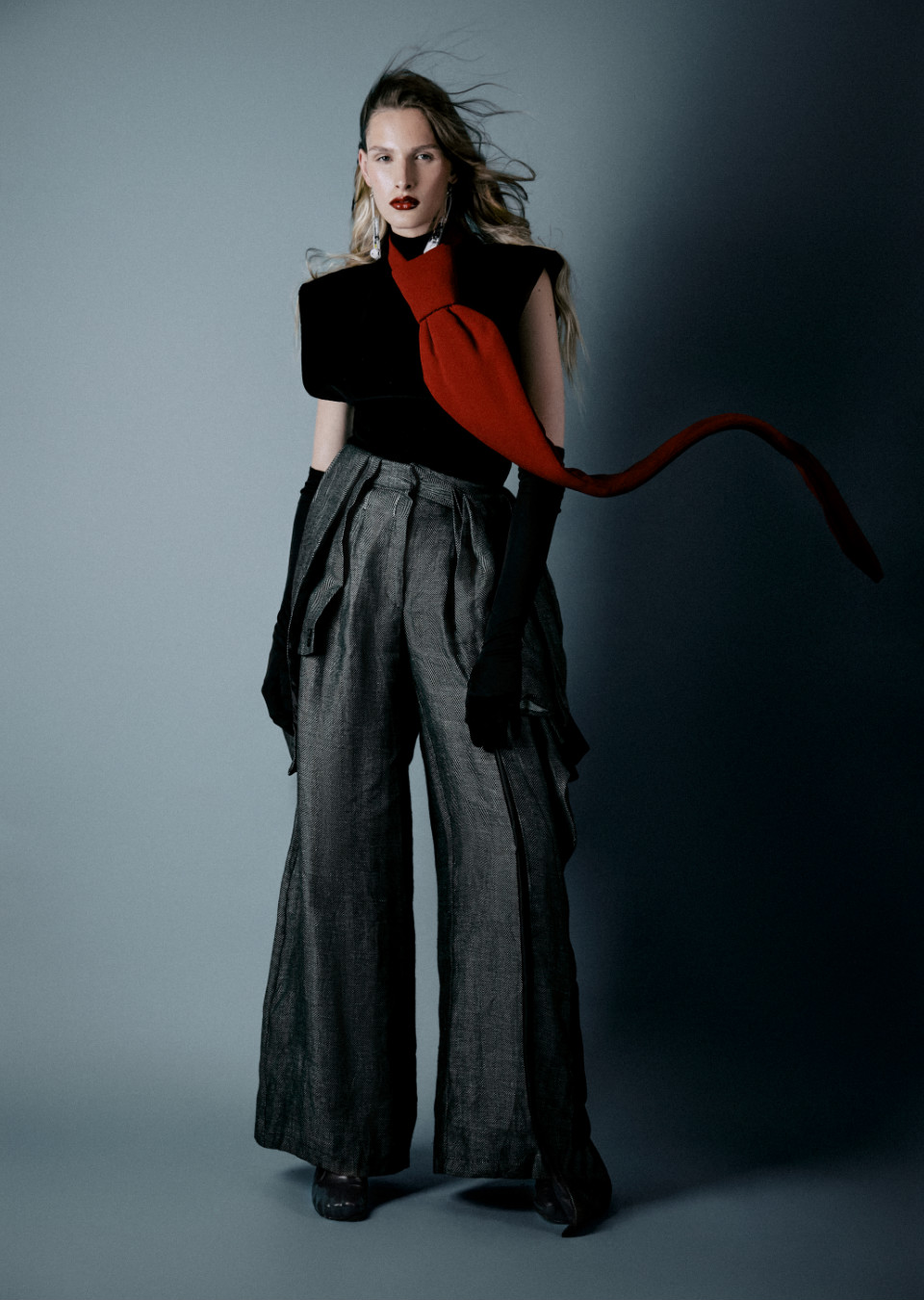 Model Image
