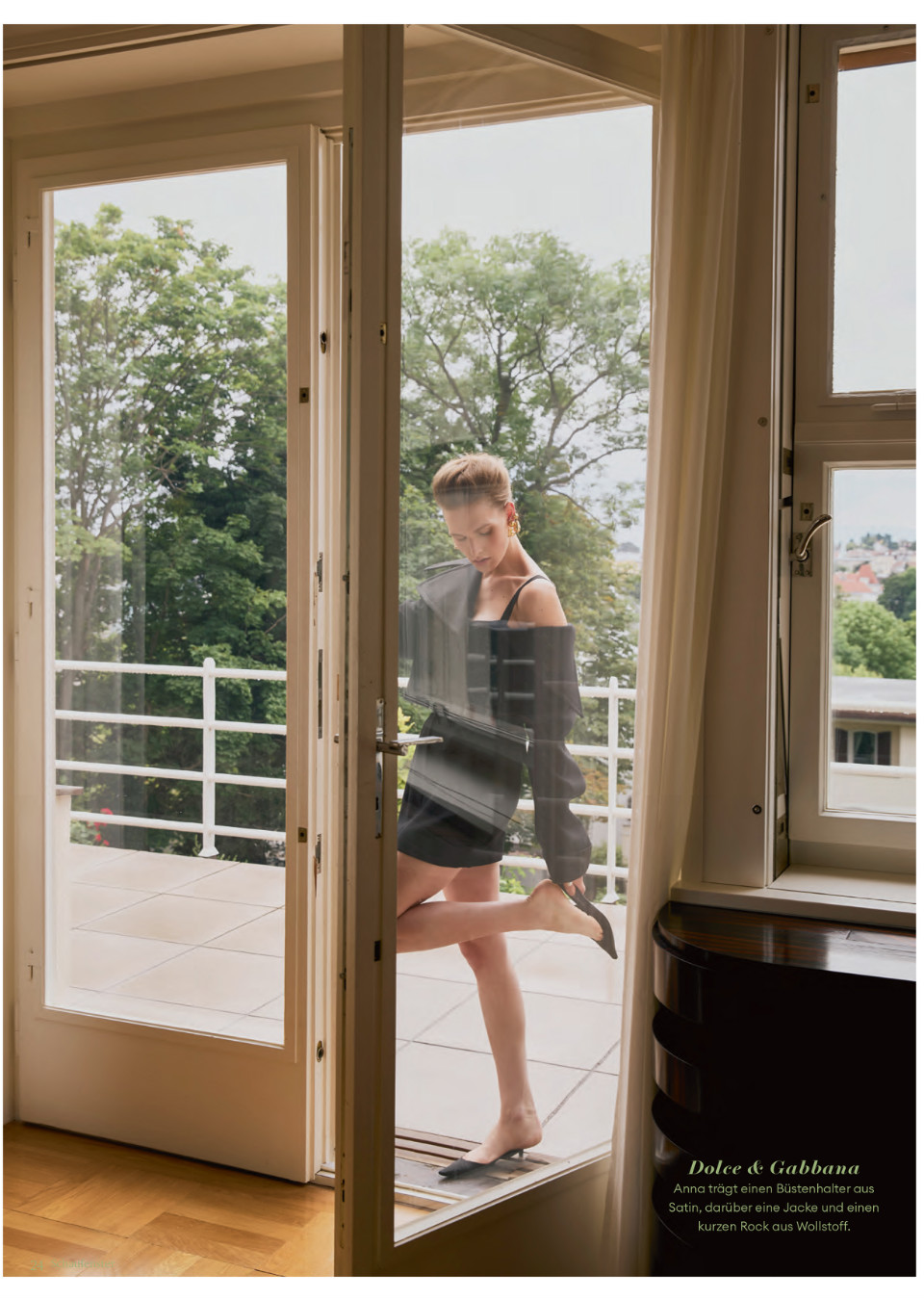 Model Image