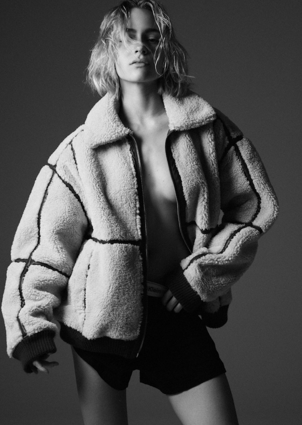 Model Image