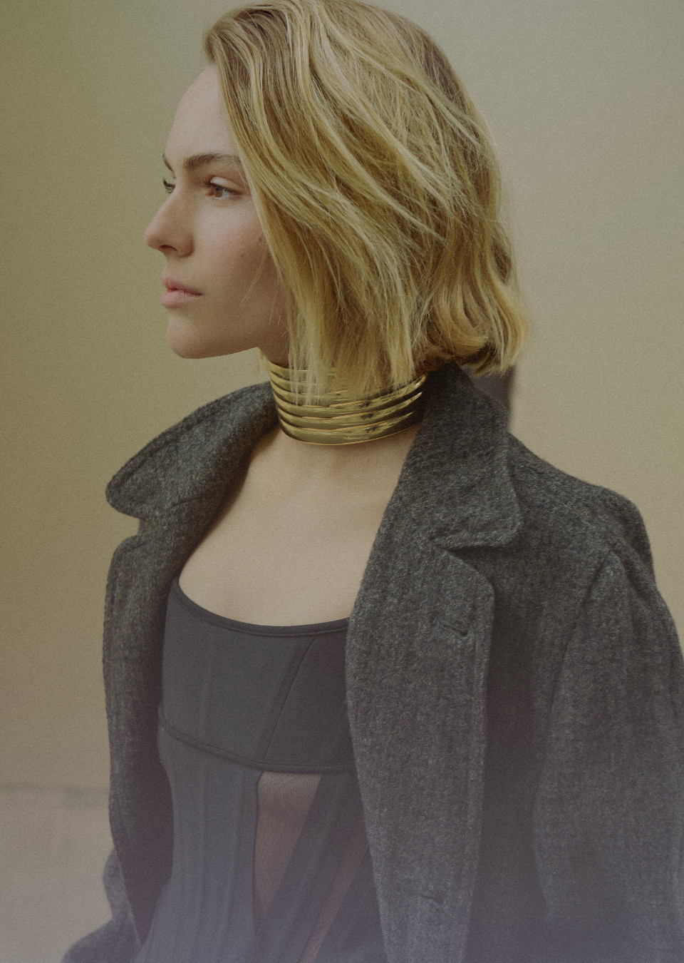 Model Image