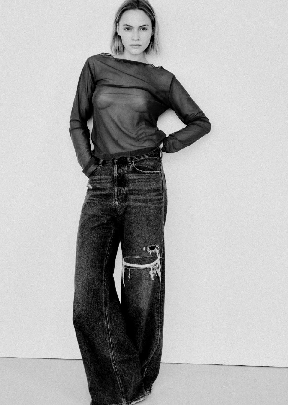 Model Image