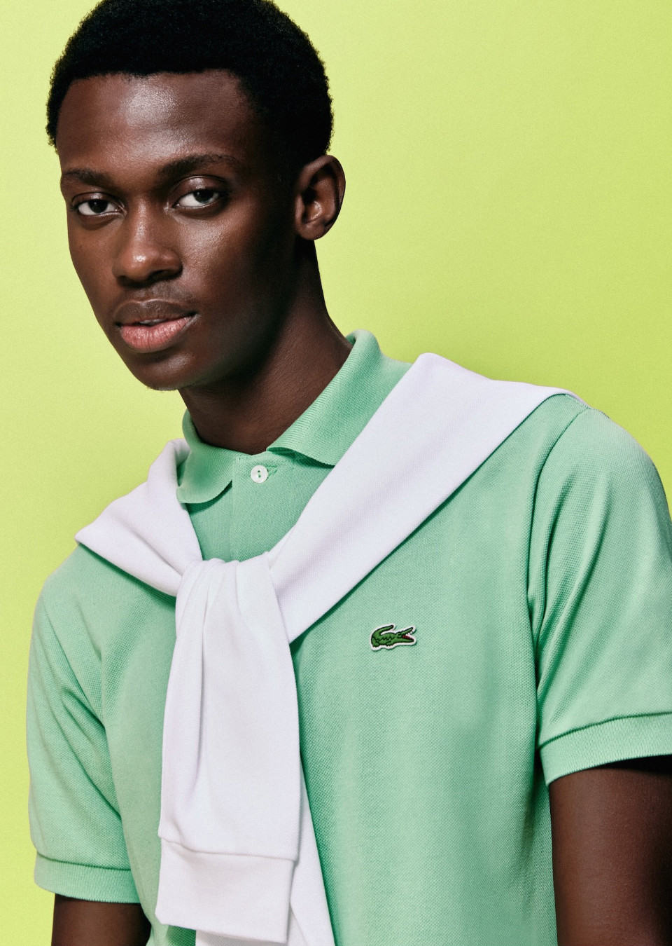 Model Image