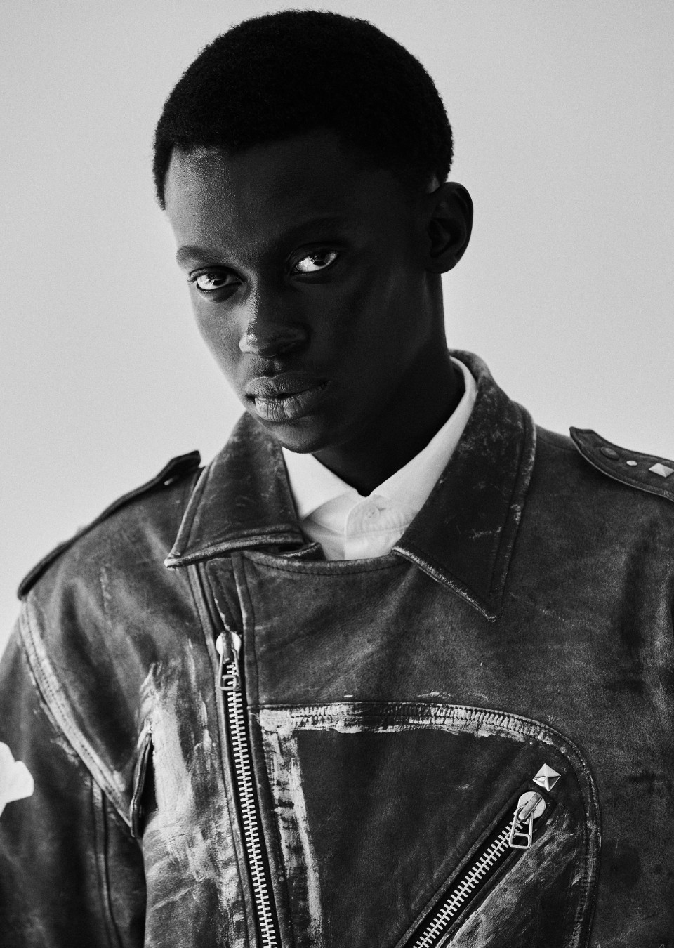 Model Image