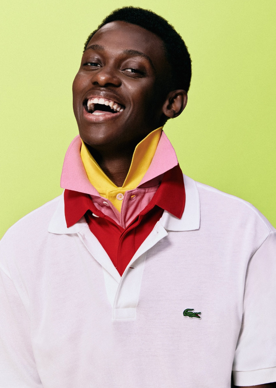 Model Image
