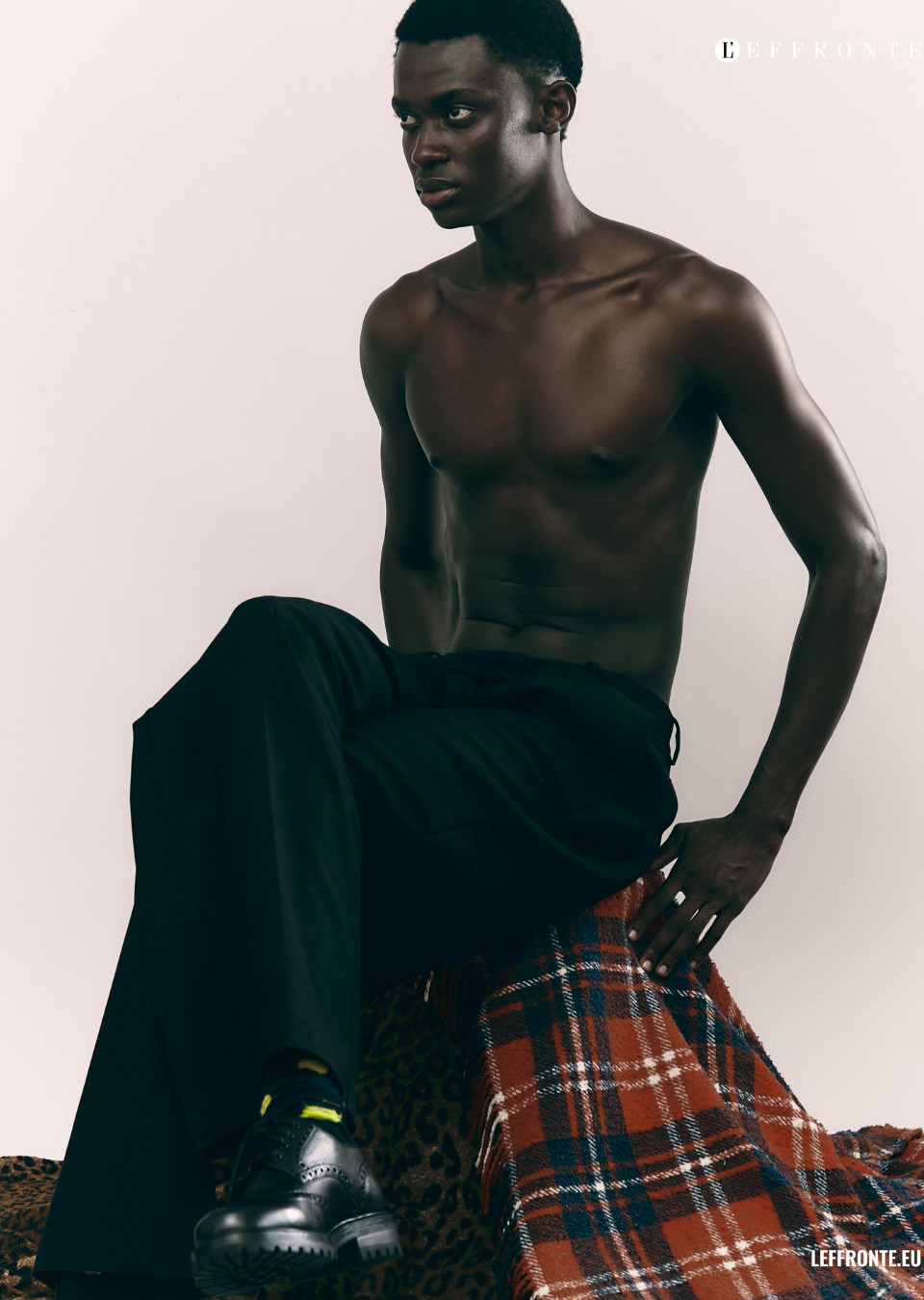 Model Image