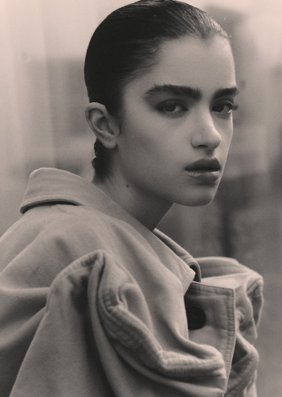 Model Image