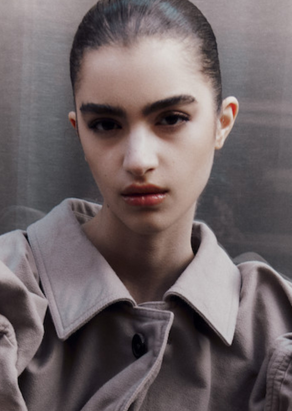 Model Image