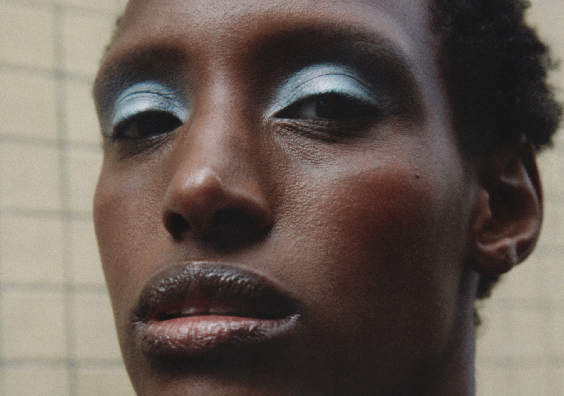 Model Image