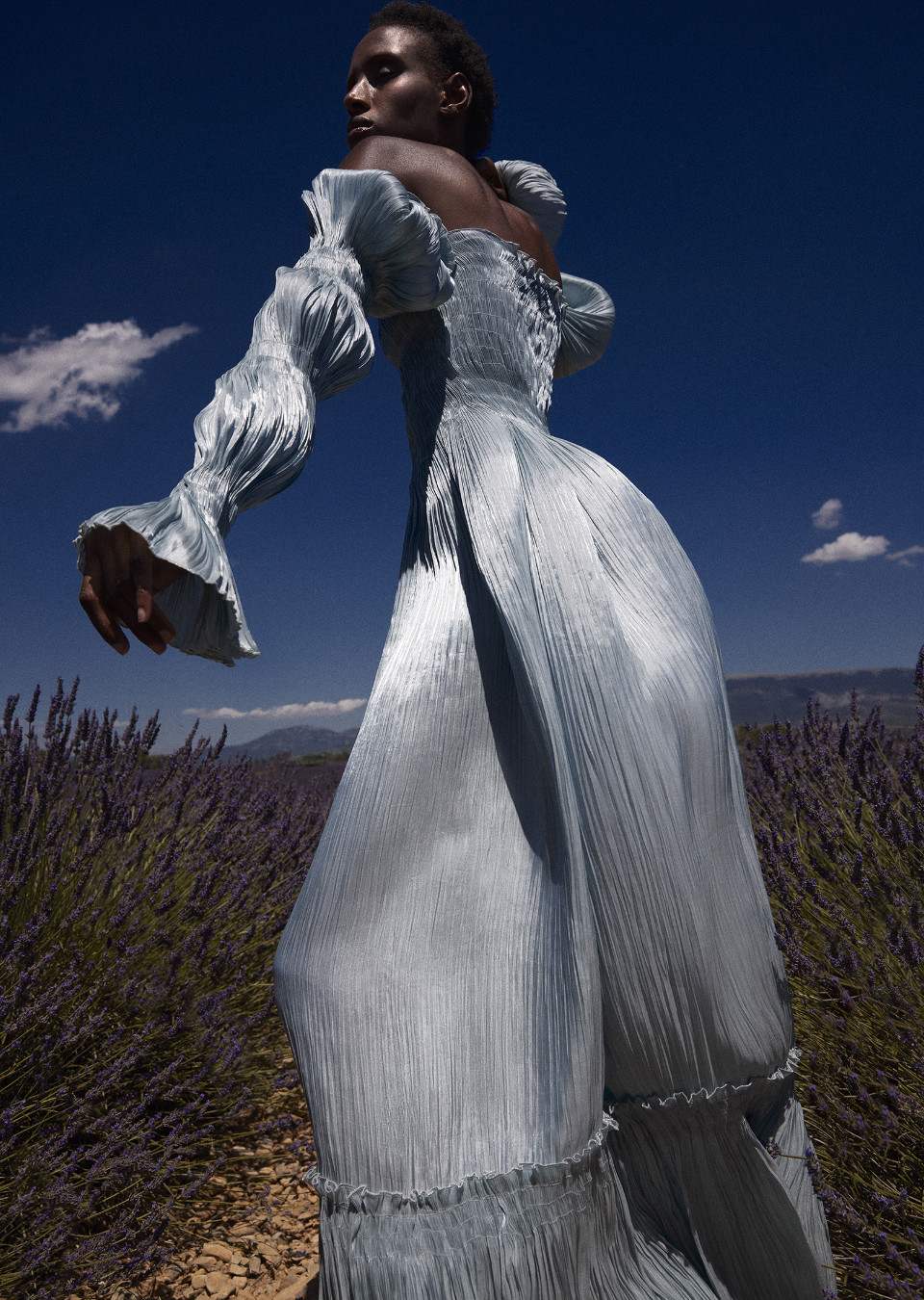 Model Image