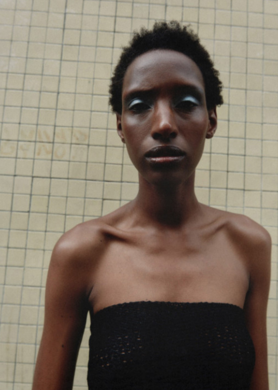 Model Image