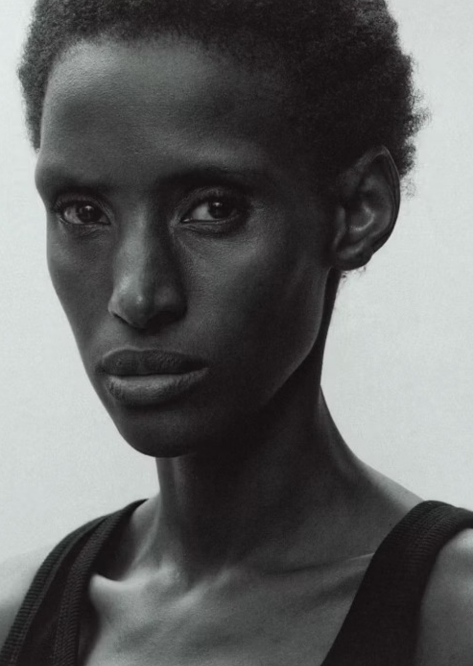 Model Image