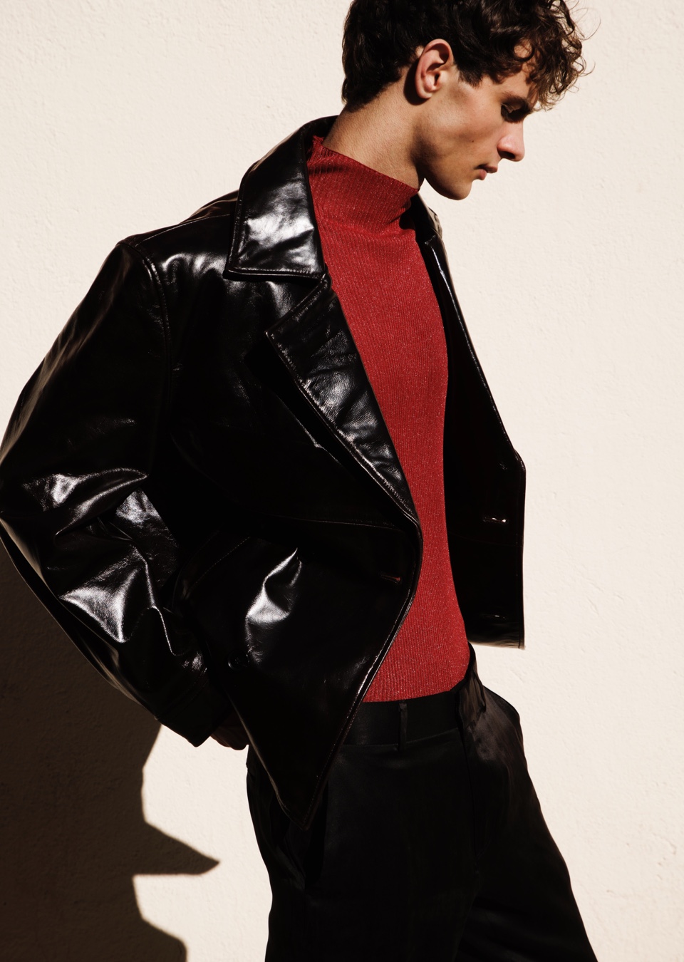 Model Image