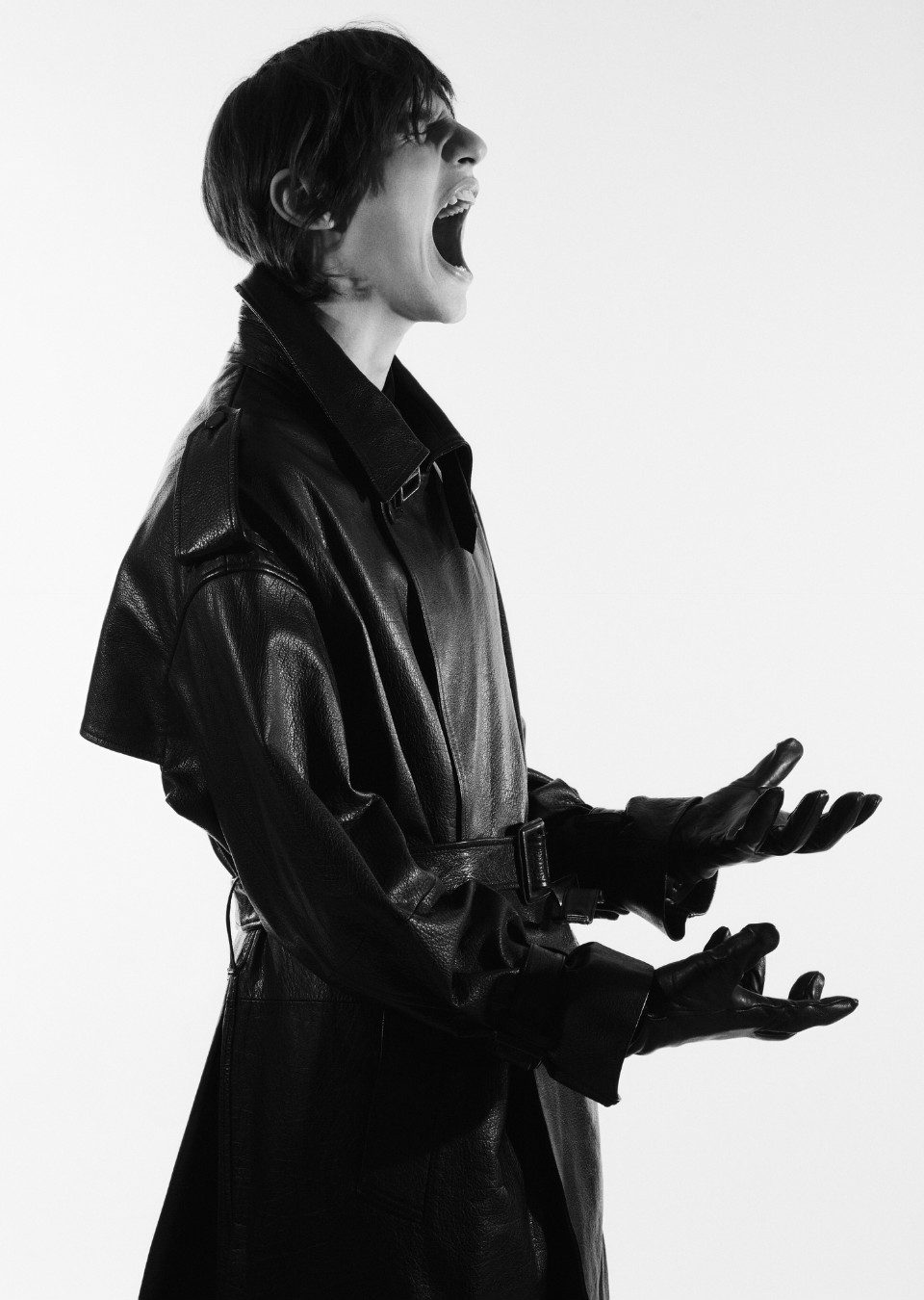 Model Image