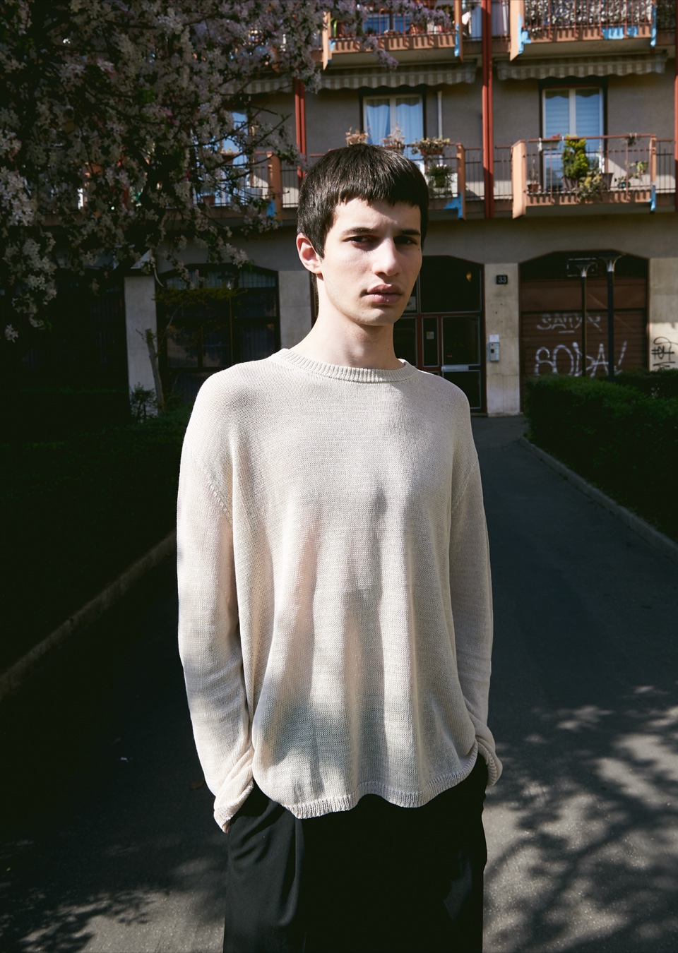 Model Image