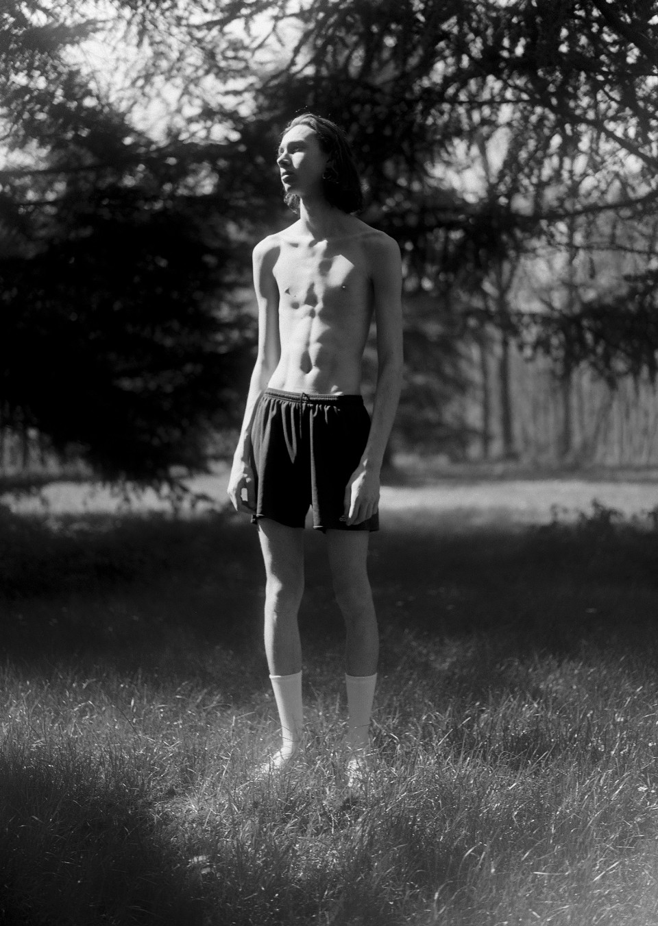 Model Image