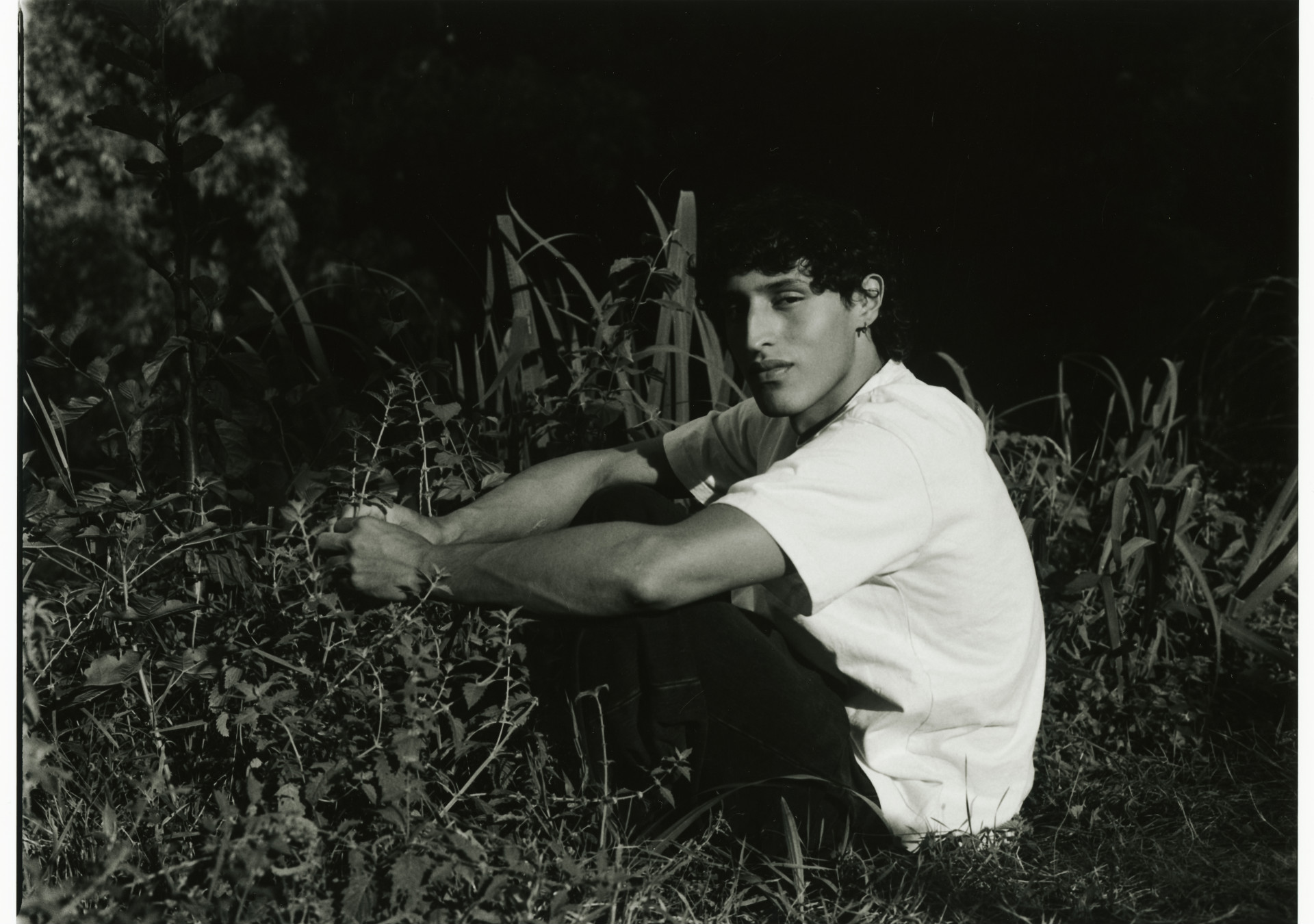 Model Image