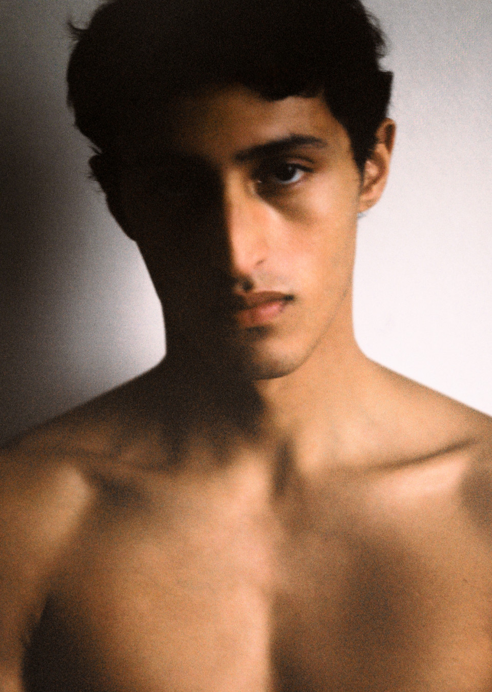Model Image