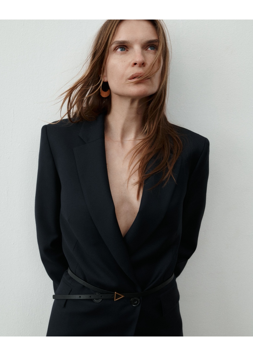 Model Image