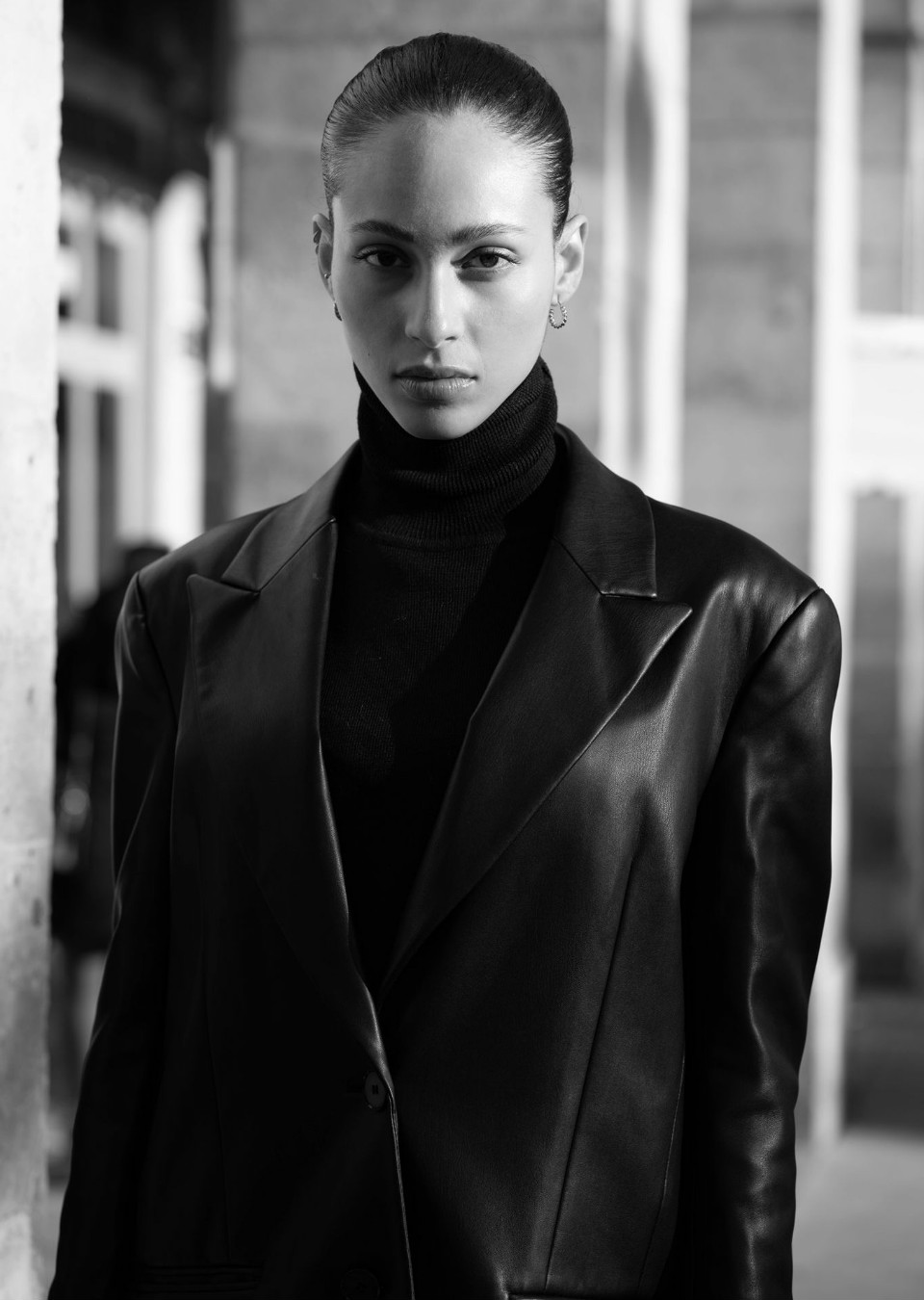 Model Image