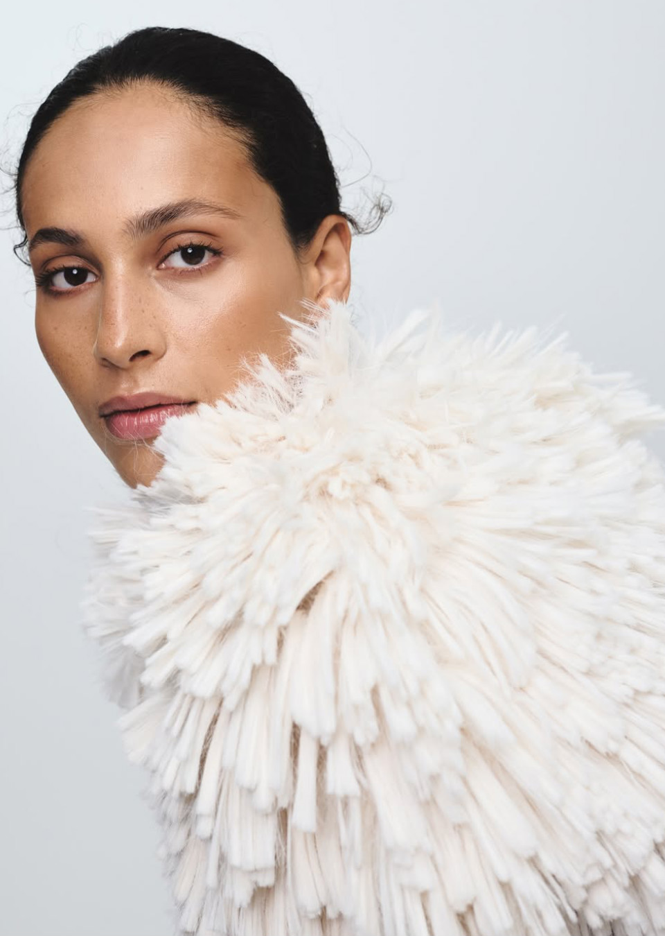 Model Image