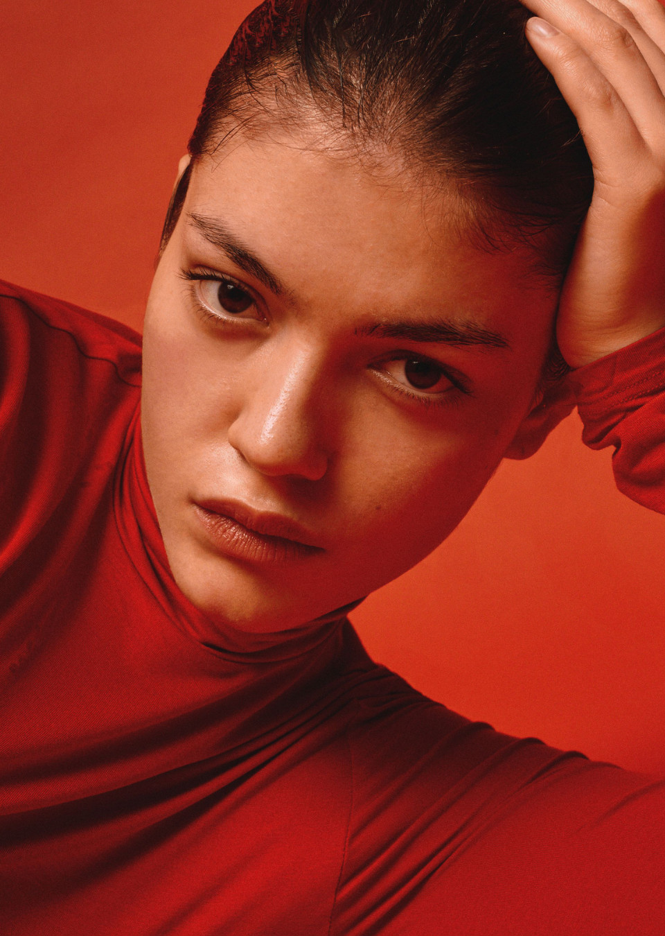 Model Image