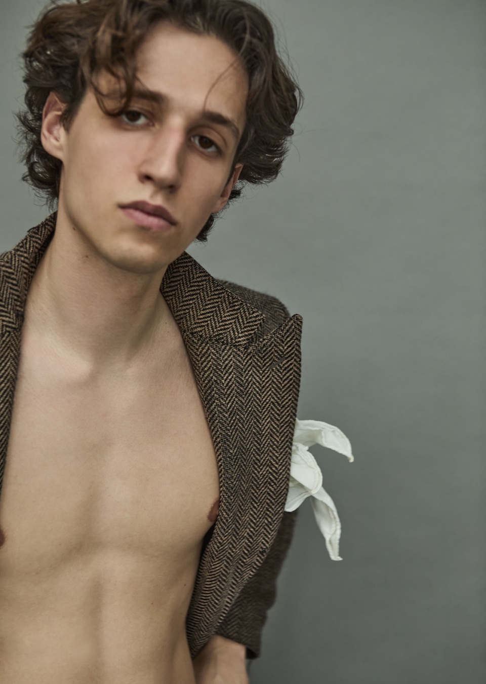 Model Image