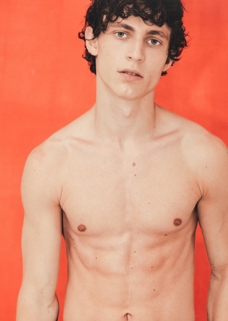 Model Image